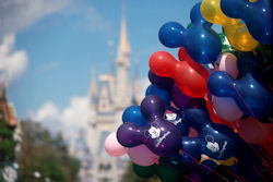Walt Disney World Special Offer