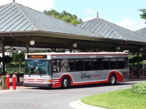 Disney Bus - great summer transportation as its air conditioned and convenient