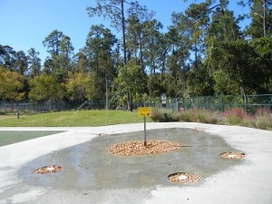 Water play area in dog park