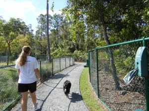 Walking train