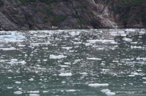 Ice covered water in Tracy Arm Fjord