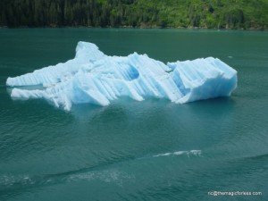 Iceberg in Tracy Arm Fjord