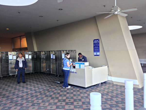 Contemporary Resort Airline Check-in