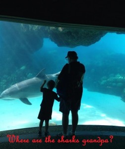 Grandpa and Zane looking at dolphins.