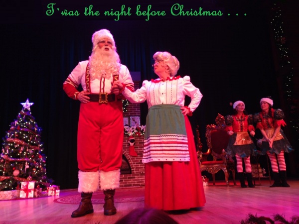Sea World Christmas