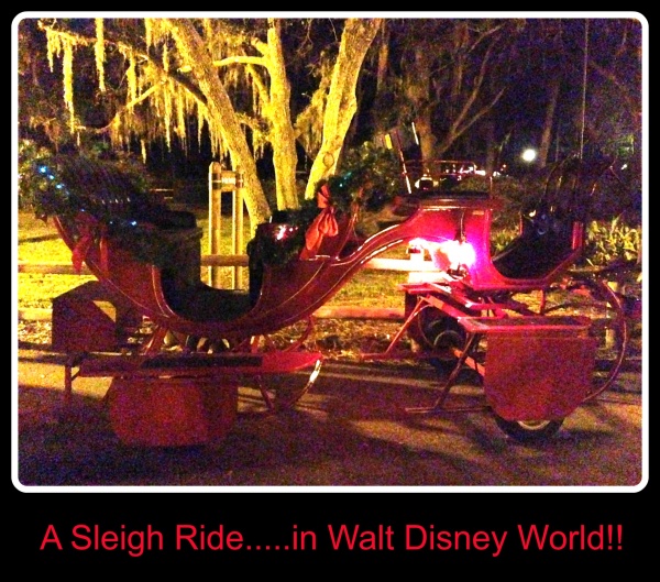 Holiday Sleigh Ride at Ft. Wilderness Resort & Campground