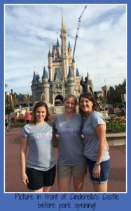 Blog pic- Castle