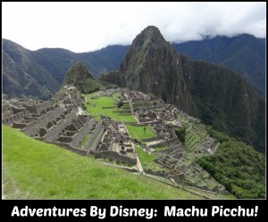 Machu Picchu