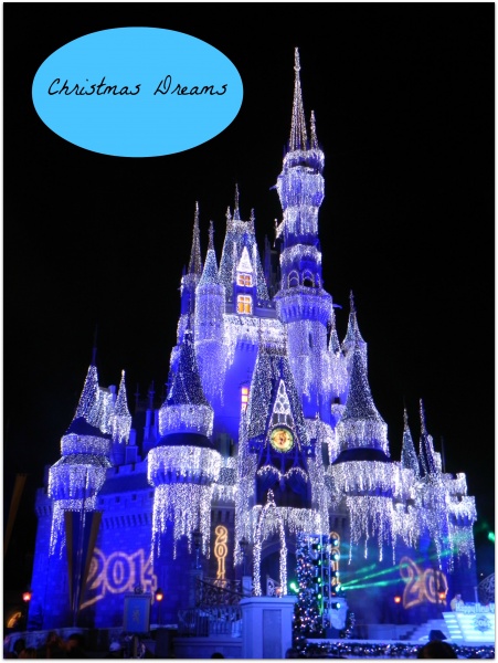Dream Lights Dream Lights