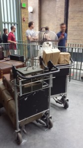 Hedwig with Harry's Baggage Cart
