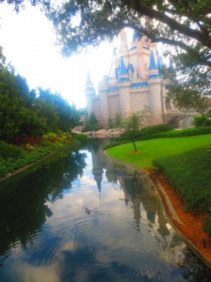 Cinderella's Castle