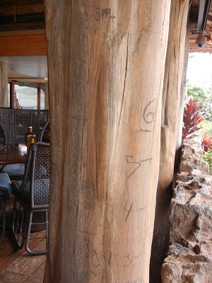 'Ama'Ama1 Growth chart