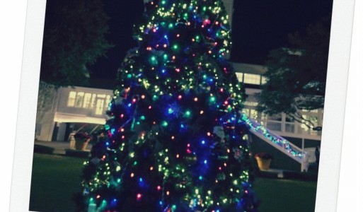 Crescent Lake Christmas! Crescent Lake Christmas!