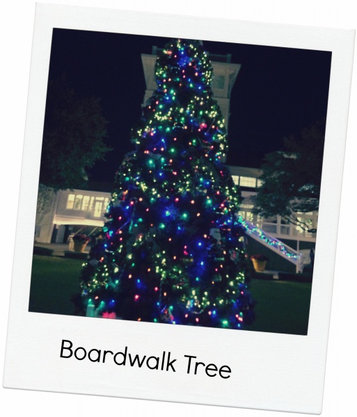 Boardwalk Tree (1283x1500)