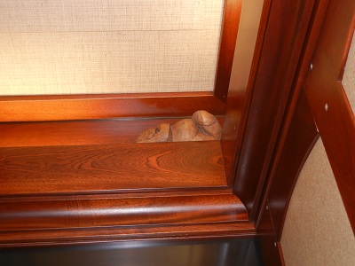 Menehune sleeping in the elevator