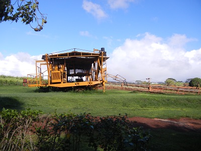 Pineapple harvester