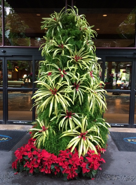 Polynesian Tree Outside