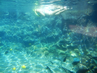 Rainbow Reef snorkeling