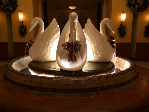 Swans (1500x1125)