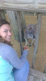 Feeding kangaroos