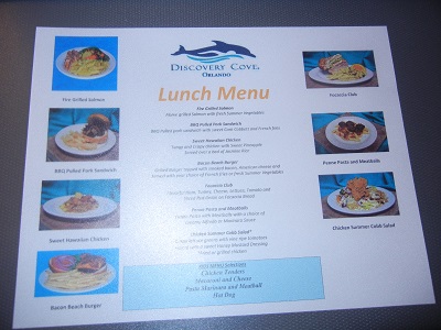 Lunch menu