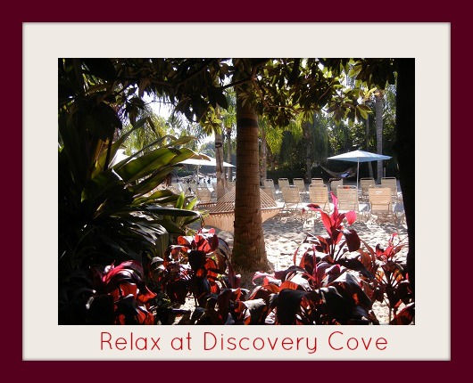 Discovery Cove