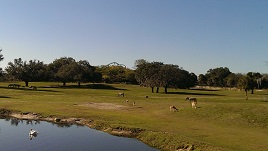 Serengeti Plain