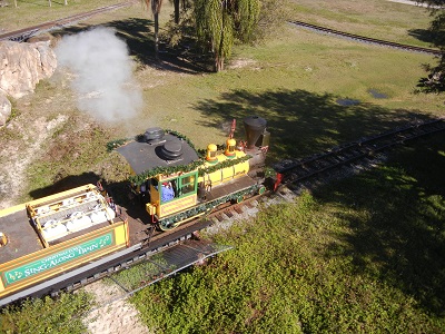 Train through Serengeti Plain