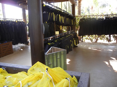 Wet suits and snorkels Wet suits and snorkels