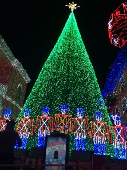 A Giant Christmas Tree available for group photos, but the cat wasn't around here on this night.