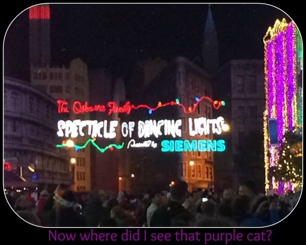 Let's begin the hunt for the purple cat!