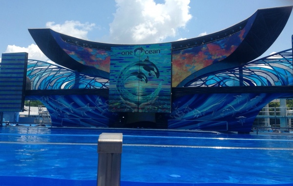 One Ocean Show This is the Sea World show to see
