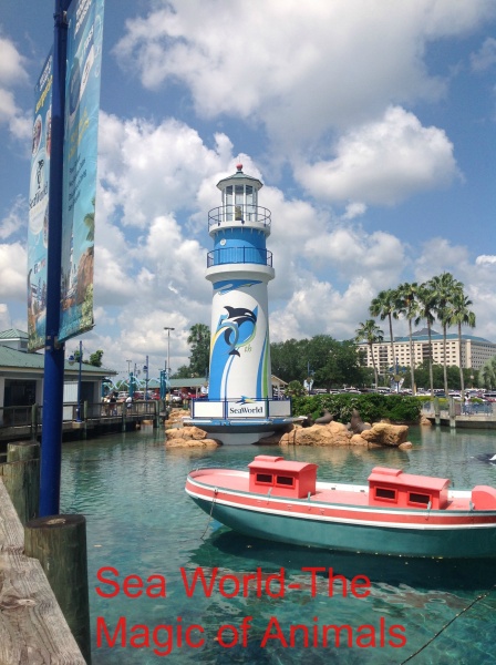 A visit to Sea World