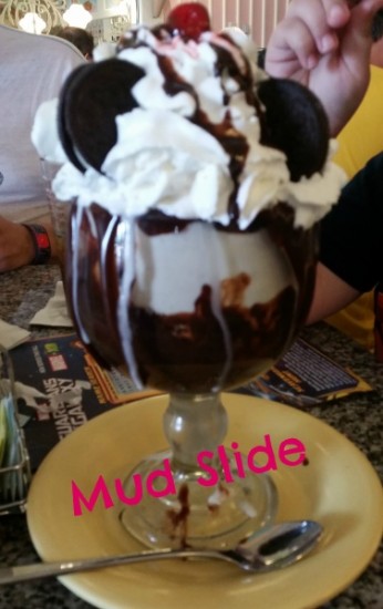 The Fudge Mud Slide