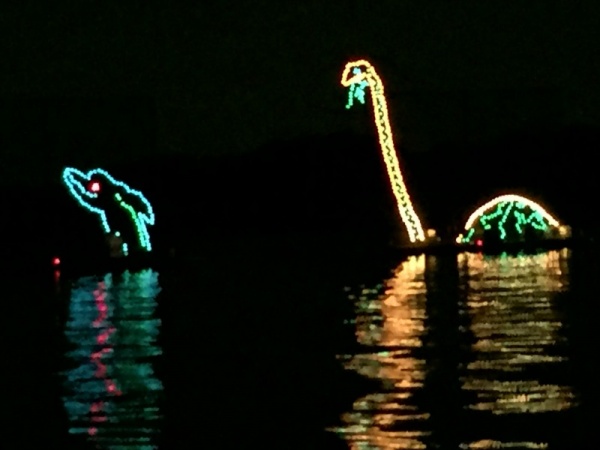 Electrical Water Pageant