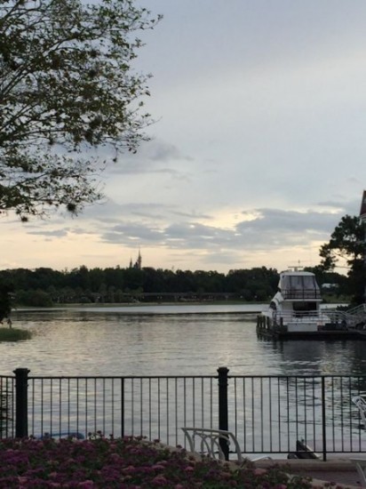 Grand Floridian View