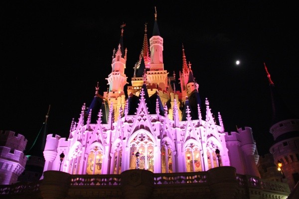 The Back of Cinderella Castle Lite Up At Night - Magic Kingdom