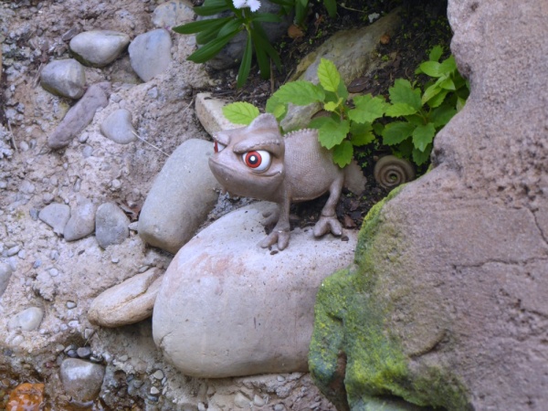 Hiding by the rocks.