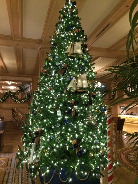 IMG_5614 (960x1280) Yacht Club Tree