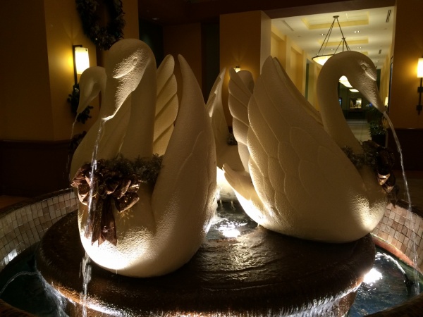 IMG_5650 (1280x960) Holiday swans