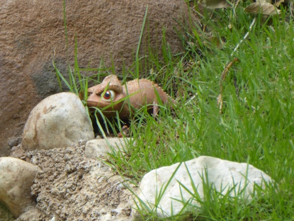 Hiding in the greenery.