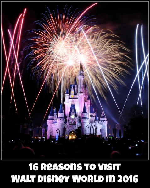 16 Reasons to visit WDW