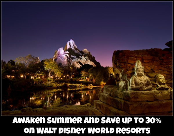 Save up to 30% With The Awaken Summer Walt Disney Disney World Discount