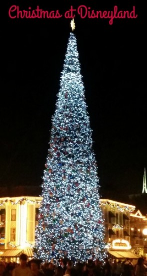 The beautiful Disneyland Christmas tree on Main Street USA