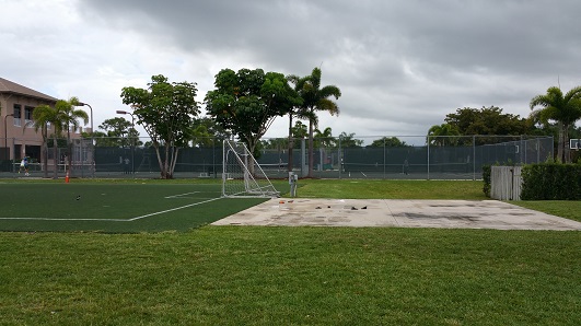 Soccer and tennis