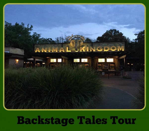 Backstage Tales Tour at Disney’s Animal Kingdom