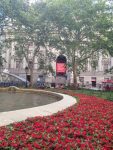 Garden 2016-07-16-10-07-37