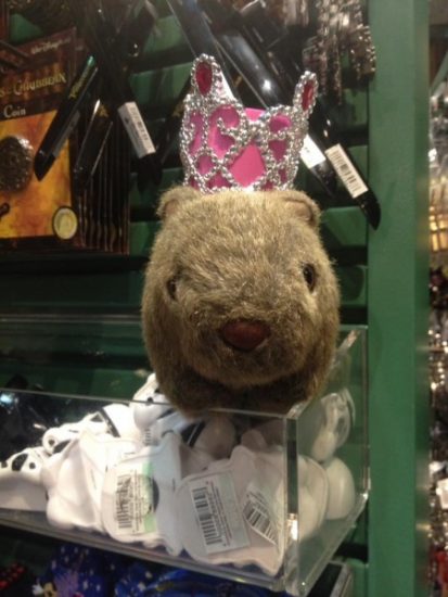 Princess Wally Wally is crowned King for a Day!