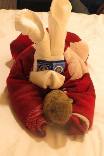 Towel Animals Towel Animals