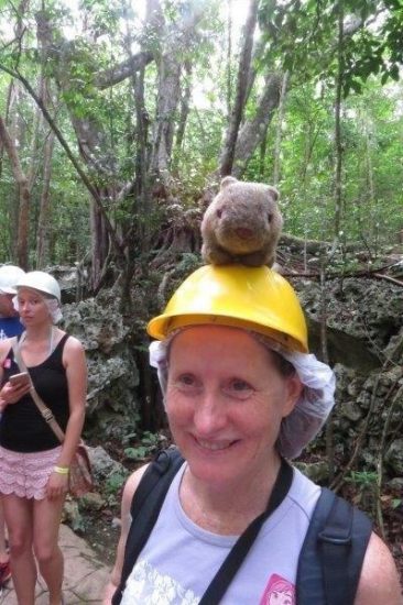 Wally-Helmet Hardhat